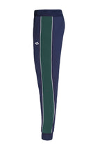 Load image into Gallery viewer, PRITER COLOURBLOCK TRICOT TRACKSUIT Posy Green
